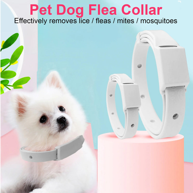 Coleira anti-pulgas e carraças para gato e cachorro, colar ajustável para cachorrinho e gatinho, antiparasagainst 8 meses, Breakaway Pet Accessories