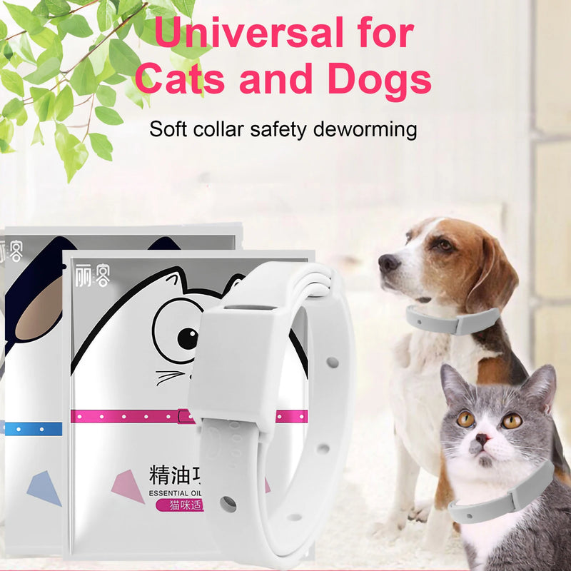 Coleira anti-pulgas e carraças para gato e cachorro, colar ajustável para cachorrinho e gatinho, antiparasagainst 8 meses, Breakaway Pet Accessories